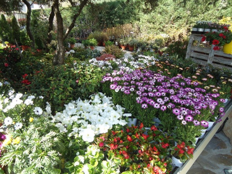 DSC02653 FILEminimizer 768x577